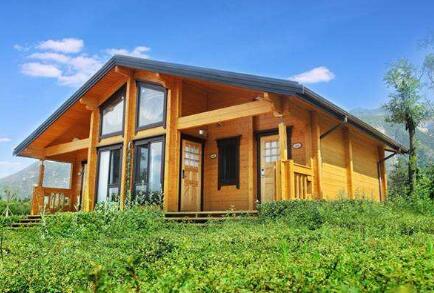 ����ľ��