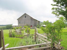 thumb_288_20170822112914_70082.jpg thumb_288_20170822112914_70082.jpg