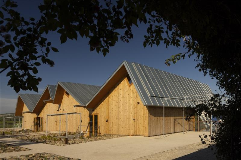 20250311105805_5197_zs.jpeg 20250311105805_5197_zs.jpeg